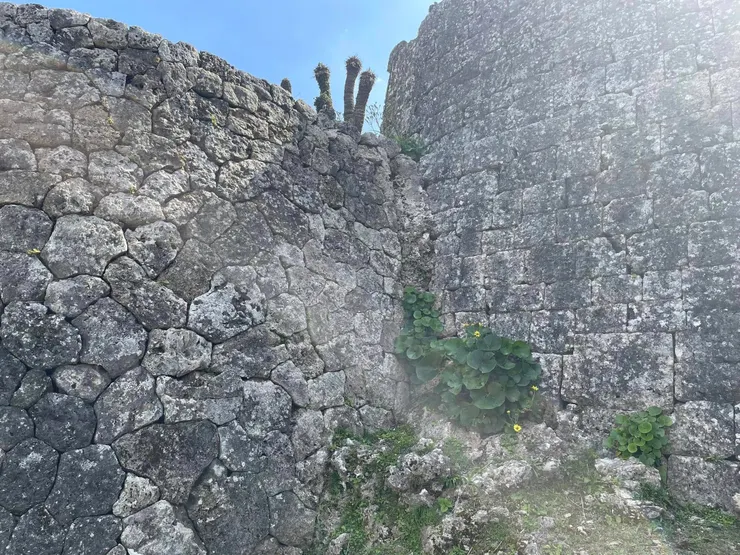 護佐丸除了是琉球名將外，也是有名的建築家，圖中的城牆被認為流線且具有曲線美。