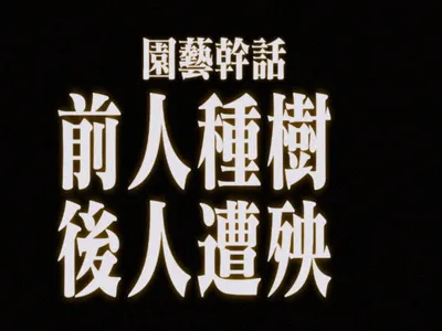 公路廢文：前人種樹，後人遭殃