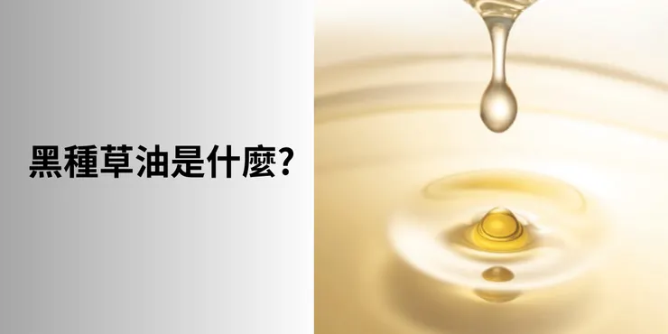 黑種草油是什麼