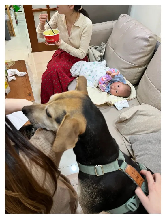 比起寶包,秋口更在意媽媽手上的食物