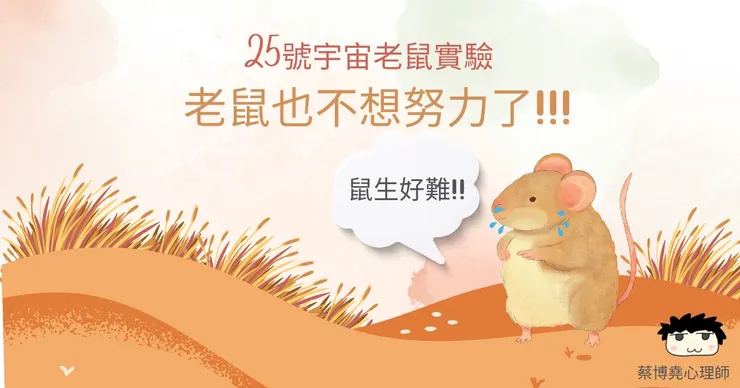 連老鼠都不想努力了!!!失去社交、繁衍、生活的動力