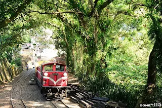 站內彷彿一座綠色隧道