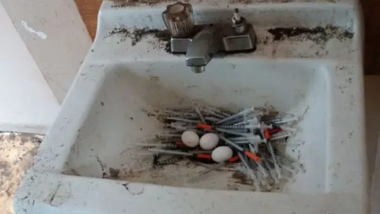 一些鳥類會使用廢棄的螺絲跟釘子，甚至是被丟棄在路邊的毒品針頭來做鳥巢，圖片來源：twitter/ @AukeFlorian