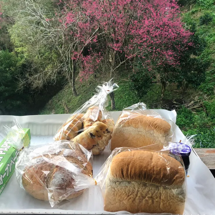 早餐吃的是麵包職人順哥純手工做的麵包（本隊特有的VＶＩＰ待遇）