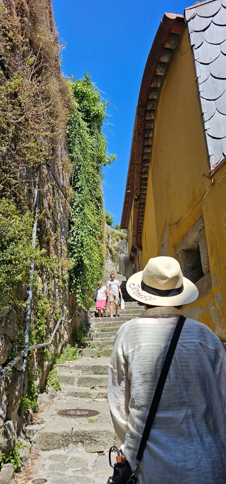 往波多主座教堂與主教宮的小路