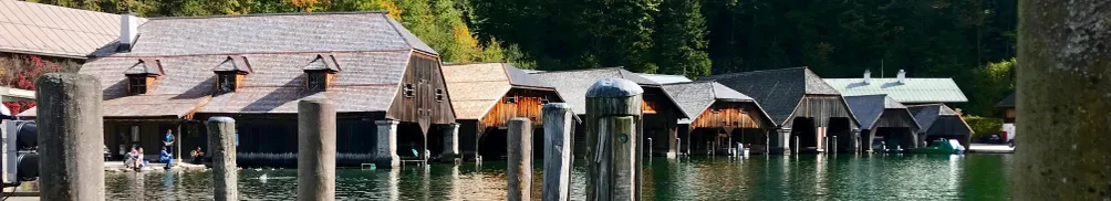 德國的臉貓日常的沙龍