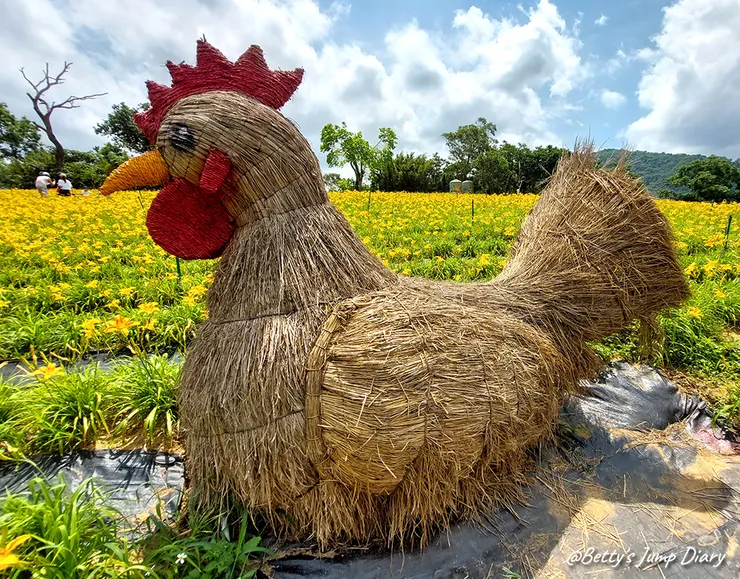 ▲2025花現台七「桃園繡球金針農遊趣」/ 圖片來源：Betty's Jump Diary