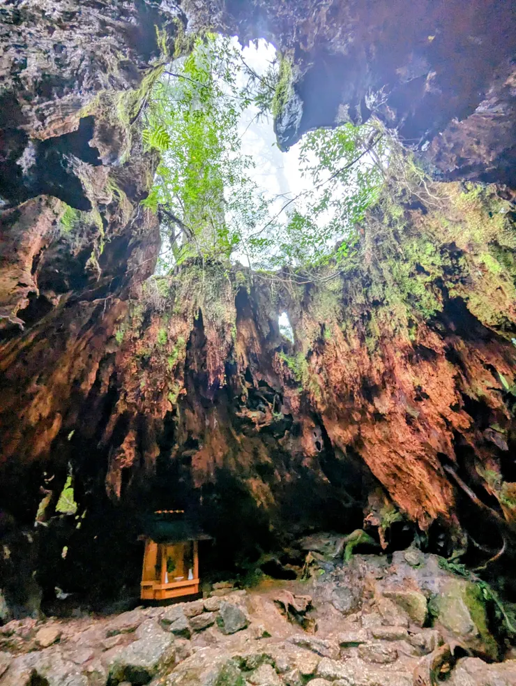 繩文杉_愛心樹洞