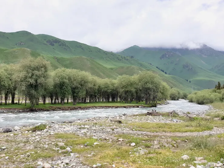 班禪溝溝谷兩側布滿原始針葉林、雲杉林與灌木帶，加上湍急的溪水，彷彿置身在歐洲，想像秋天時樹木全是金黃色，應該比現在更美