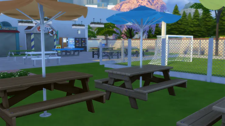 很多師生留在校內吃午餐，所以我設置了很多座位，讓大家高高興興地吃。