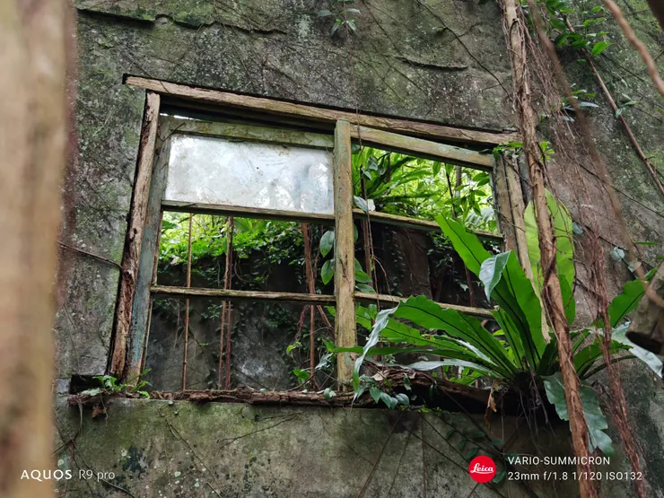 裕峰煤礦事務所遺址窗戶(SHARP AQUOS R9 pro,23mm)