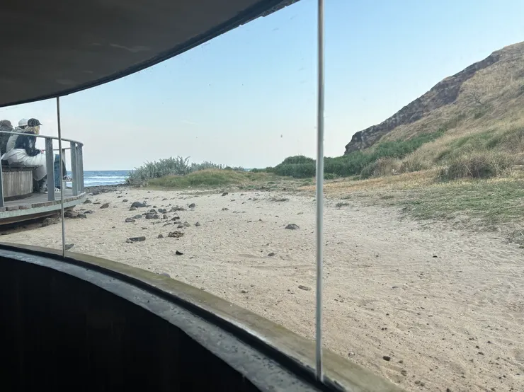 最佳雨備及怕冷的觀眾首選！建議早點進來站好自己喜歡的視角～結束前20分鐘會開放上去地面上觀賞區！到熄燈前企鵝還是陸續歸巢中