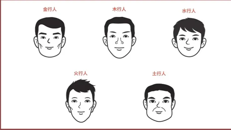 最標準的中國五行面相示意圖！圖片來源自：四季線上