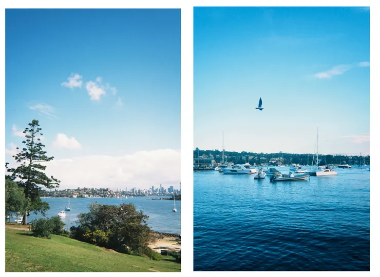 寫完文章發現沒用到這兩張照片，但是因為太喜歡了，決定放在開頭。