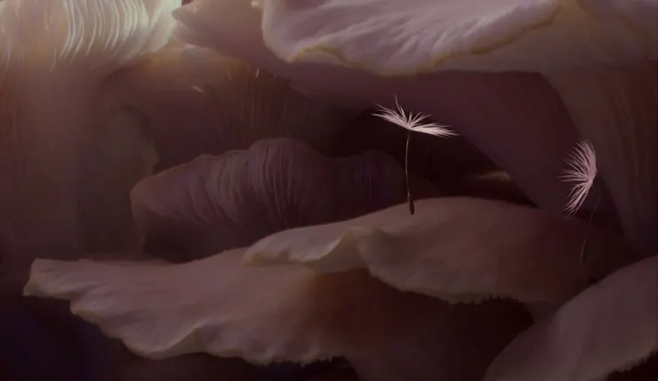 《蒲公英的奇幻漂流》劇照／金馬影展提供