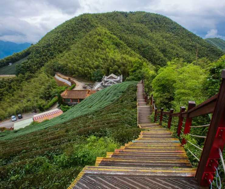 圖片來源：交通部觀光署阿里山國家風景區管理處