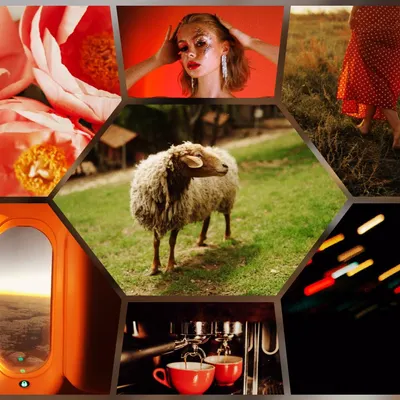 mediummatters的沙龍