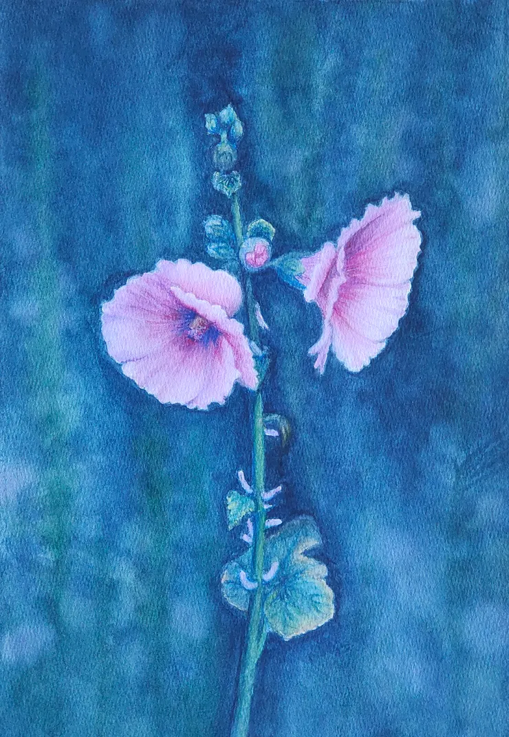 蜀葵之二，水彩，8開。最後決定畫上背景，結果與構想完全不同。