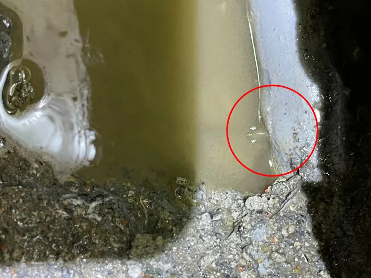 台南水電推薦【安安水電宅修】專業師傅值得信賴!熱顯像儀器抓漏