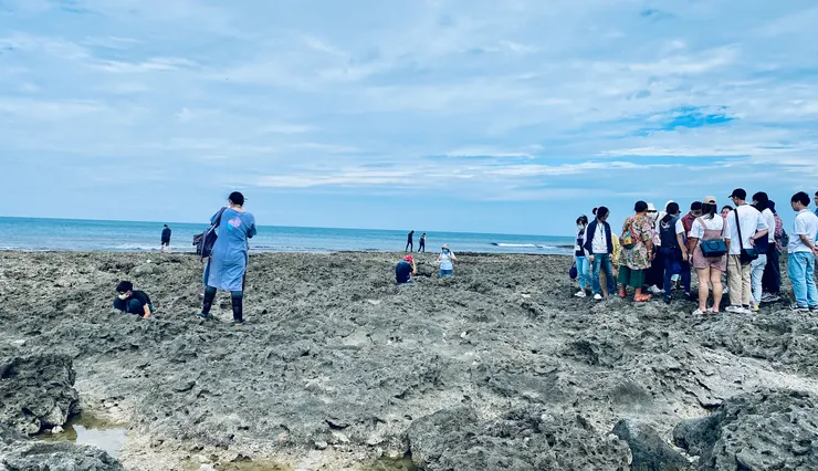 🐠《夜宿海生館》潮間帶觀察與解說。|圖:閒人