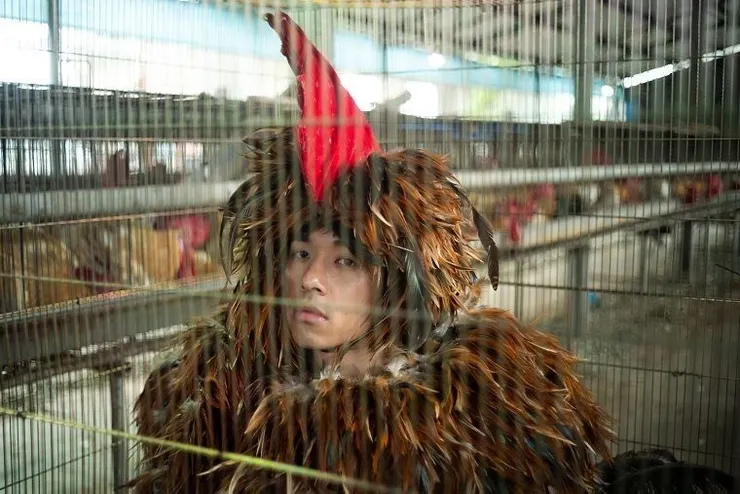 vocus|新世代的創作平台