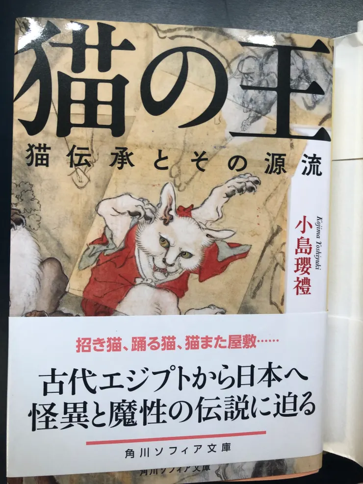 考察了世界各地「貓王傳說」的學術書籍