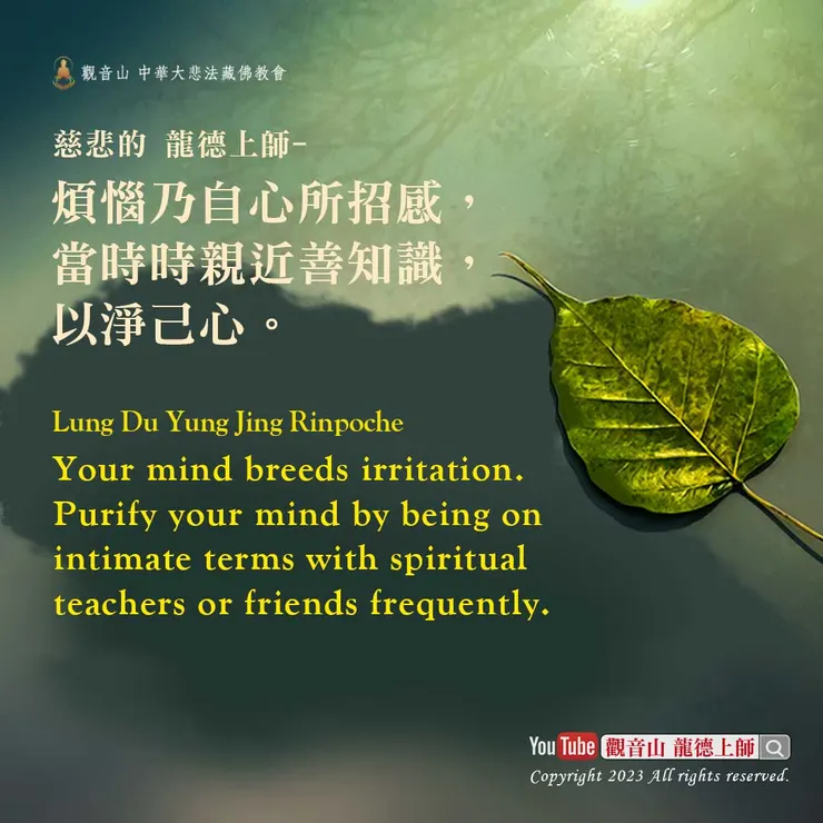 龍德上師珍貴法語：煩惱乃自心所招感，當時時親近善知識，以淨己心。