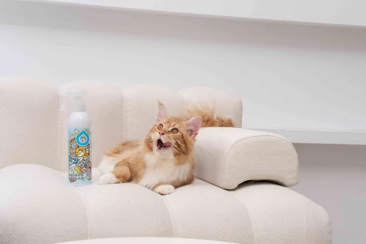 圖說：面對人寵共居的異味難題，「臭味滾」不使用香精，以分解異味分子自然除臭，回歸清潔根本，重塑毛孩也安心的生活空間。（資料來源：臭味滾）