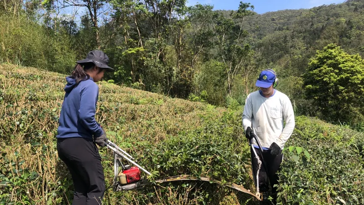 兩人抬剪枝機的一台一尾 (左頭右尾)