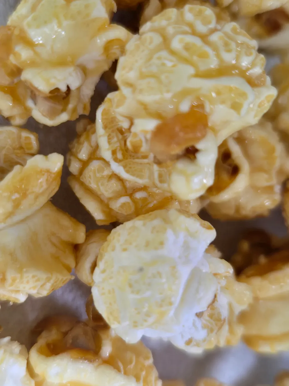 Romisun羅米森✐ ᵕ̈