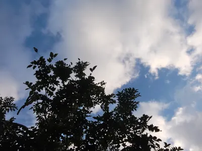 ［空］變幻與永恆