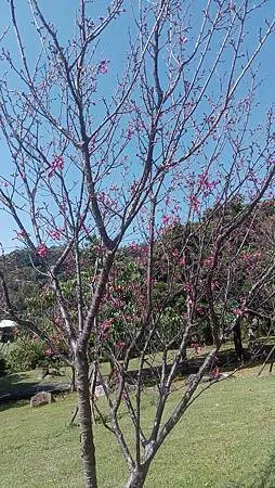 [台北旅遊]具有凱達格蘭族歷史傳說的地方，從台北市第四公墓到