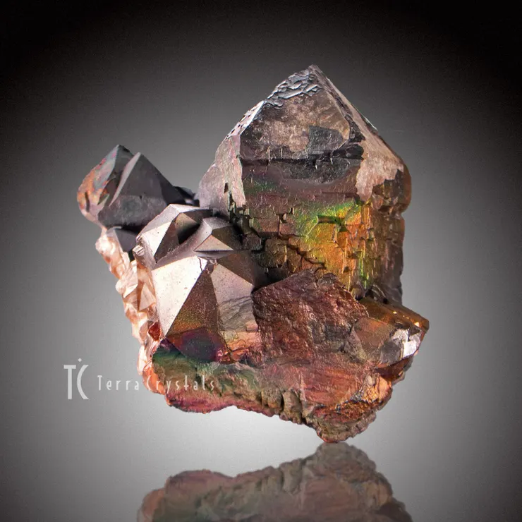 ▲這一顆在聖瑪麗礦物展上找到,熟識的廠商分享了這款虹彩水晶標本。