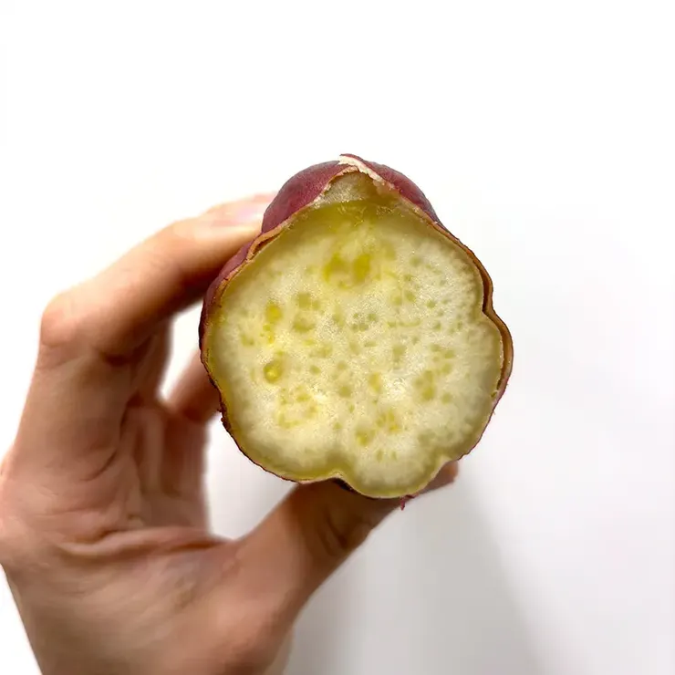 坂出金時（さかいできんとき）