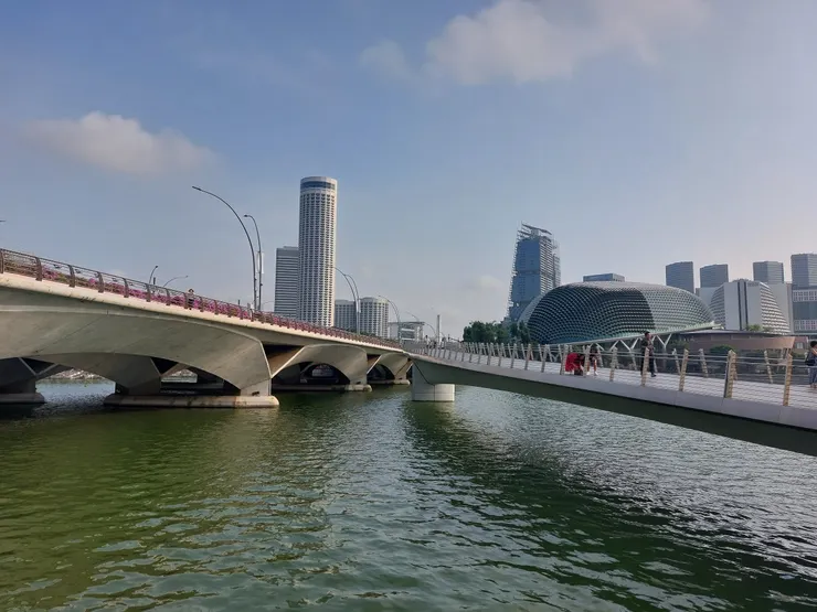 右邊那顆就是榴槤本人