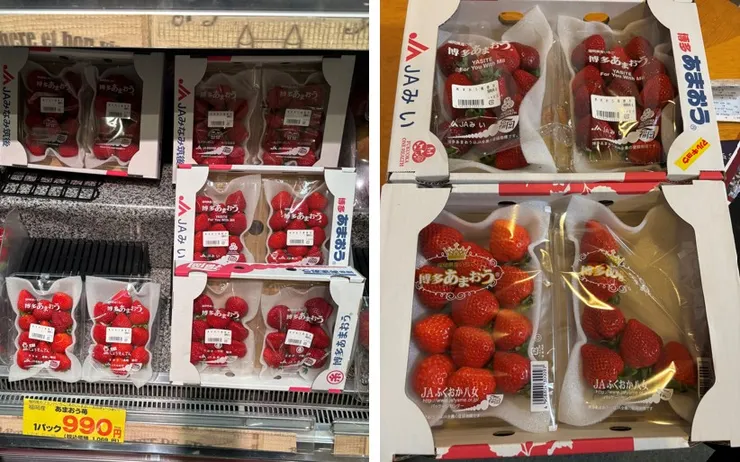 女王們看到愛吃的草莓立馬入手來吃！