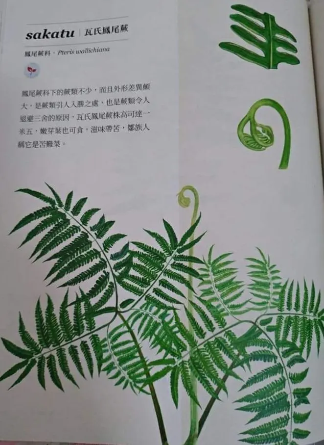 出處：«鄒的植物書»