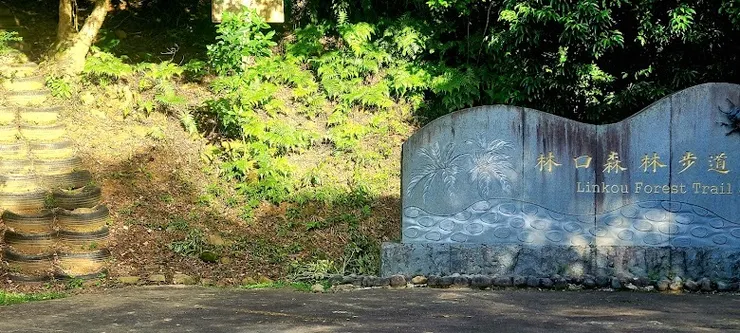 林口森林步道（圖片截圖於網路）