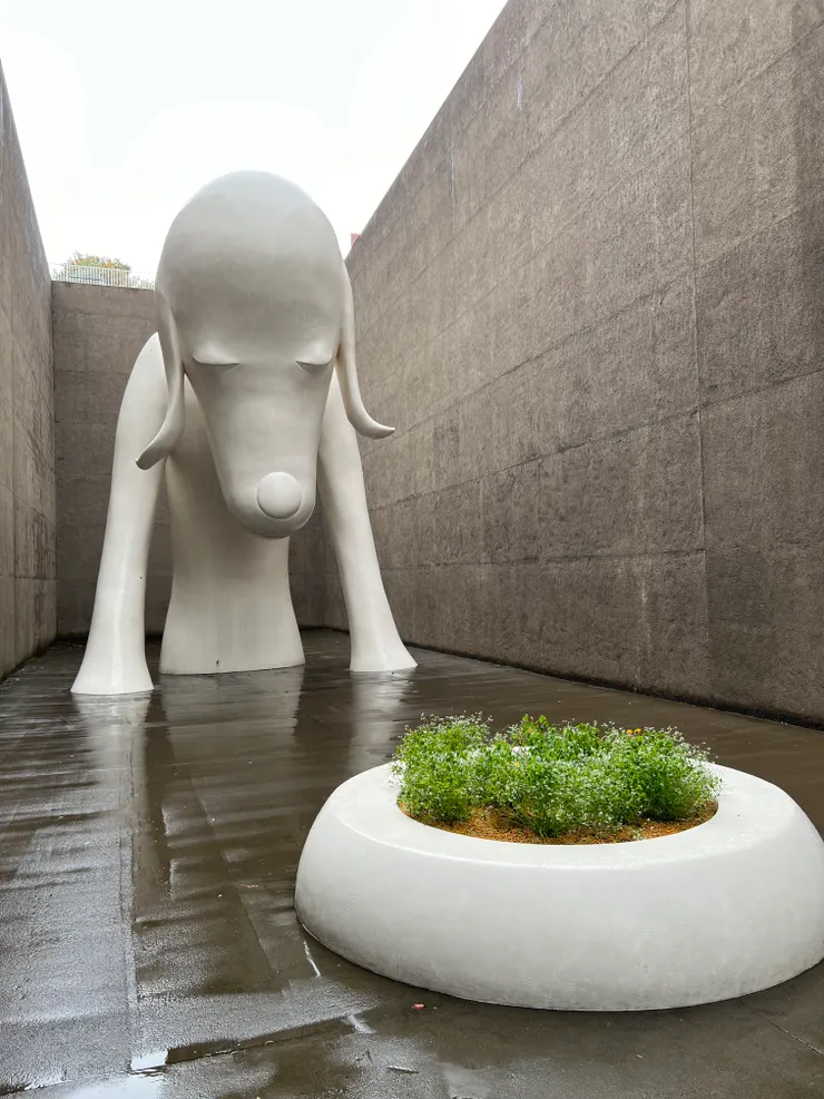 青森縣立美術館～青森犬