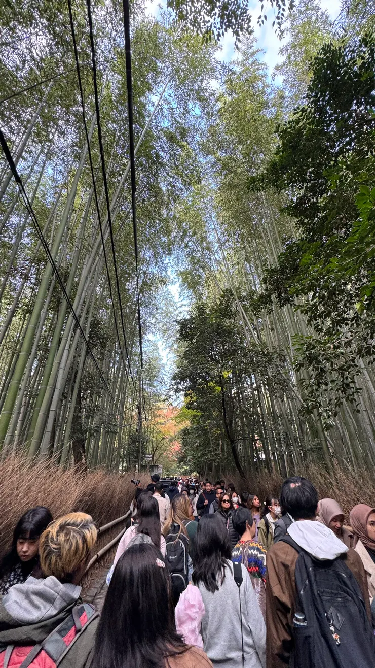 人山人海的竹林小徑(圖片來源：自行拍攝)