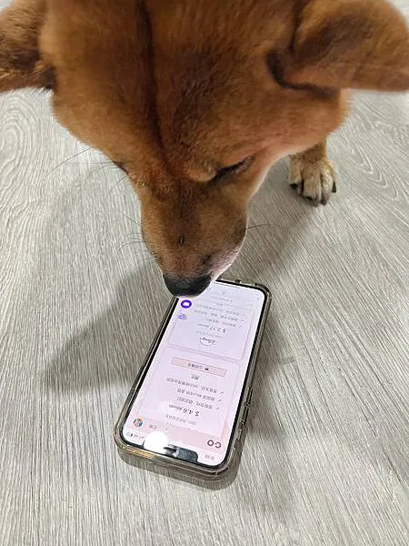 【平台】GoingBus 串流媒體共乘平台｜帳號共享合租，N