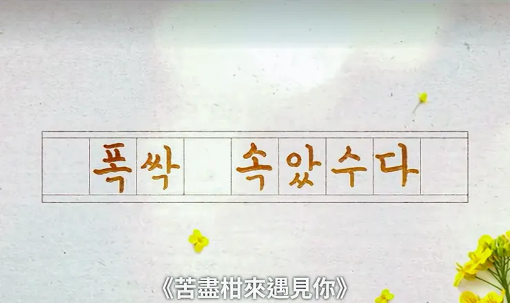 #心得 劇評／看完《苦盡柑來遇見你》🍊5️⃣個感觸：她把他們的故事寫成書📖並不是有多富裕，而是那份愛有多麼豐盛❤️ #迷你雷 #真心話大告白