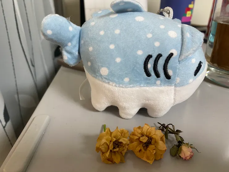 凋謝的花瓣我有留起來🥀