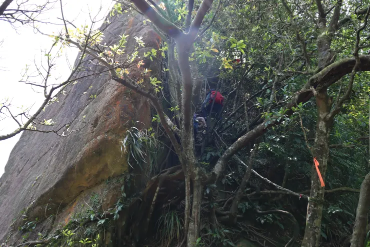 ▲本次行程唯一一處需拉繩陡上的路段。