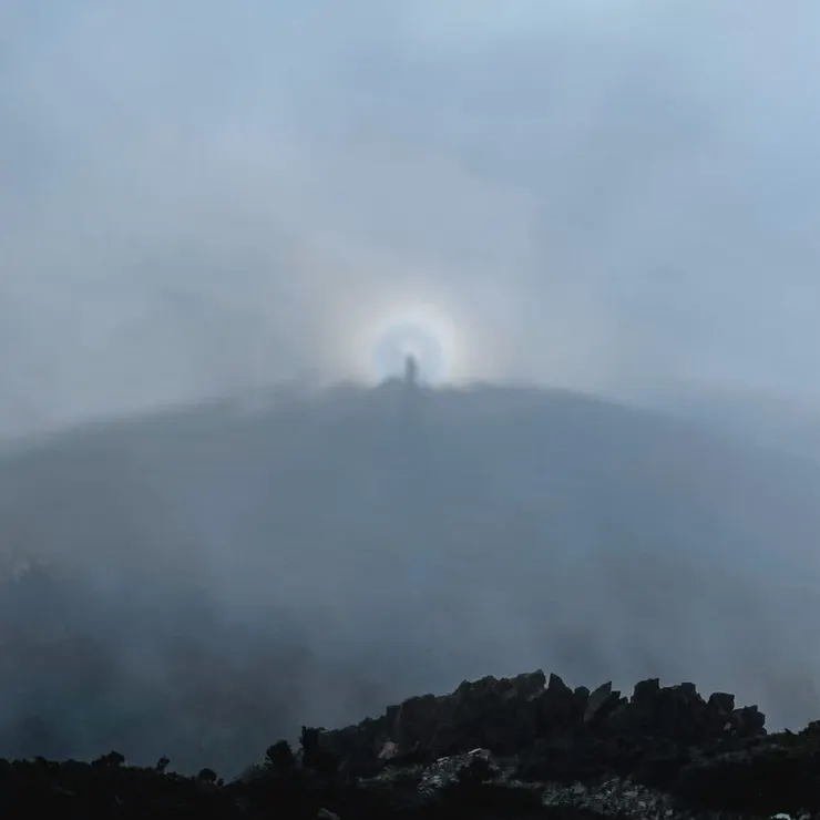 圖片來源：Alpforest