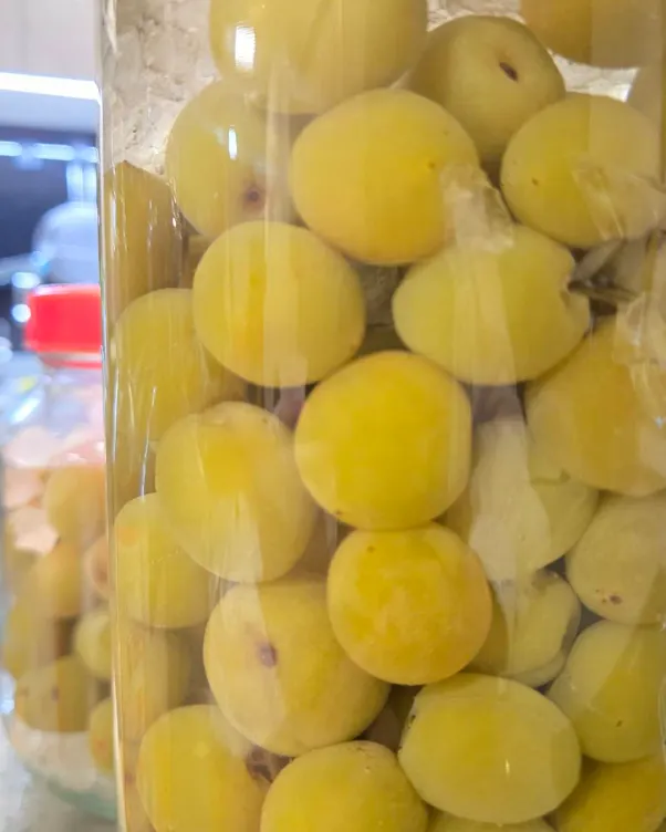 手作梅酒超簡單食譜（新手不失敗版）