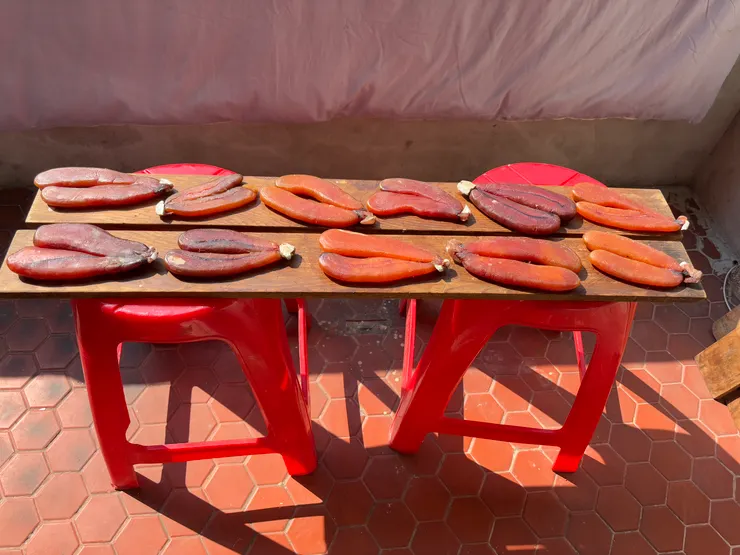 冬日微暖的陽光灑在陽臺,手工製作的烏魚子在木板上排列整齊,散發著家人傳承的溫度。