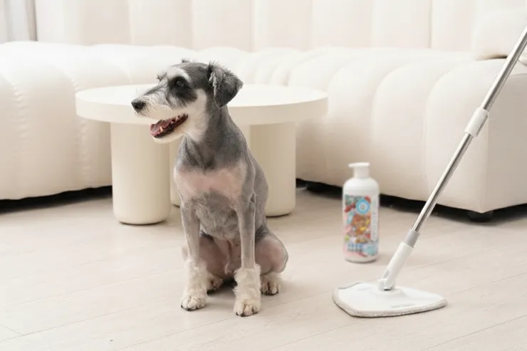 圖說：香氛清潔的主流之下，近年「極簡香氛」的風氣悄悄興起，本土寵物環境清潔品牌早已一步步實踐這套自然生活哲學。（資料來源：臭味滾）