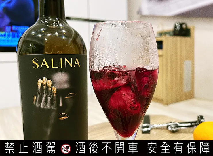 超商紅酒推薦｜西班牙紅酒SALINA紗莉那，7-11到全聯都能入手│SALINA紗莉那紅酒紅款+金款 遮掩女孩