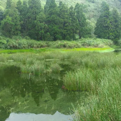 平蕪春山的沙龍